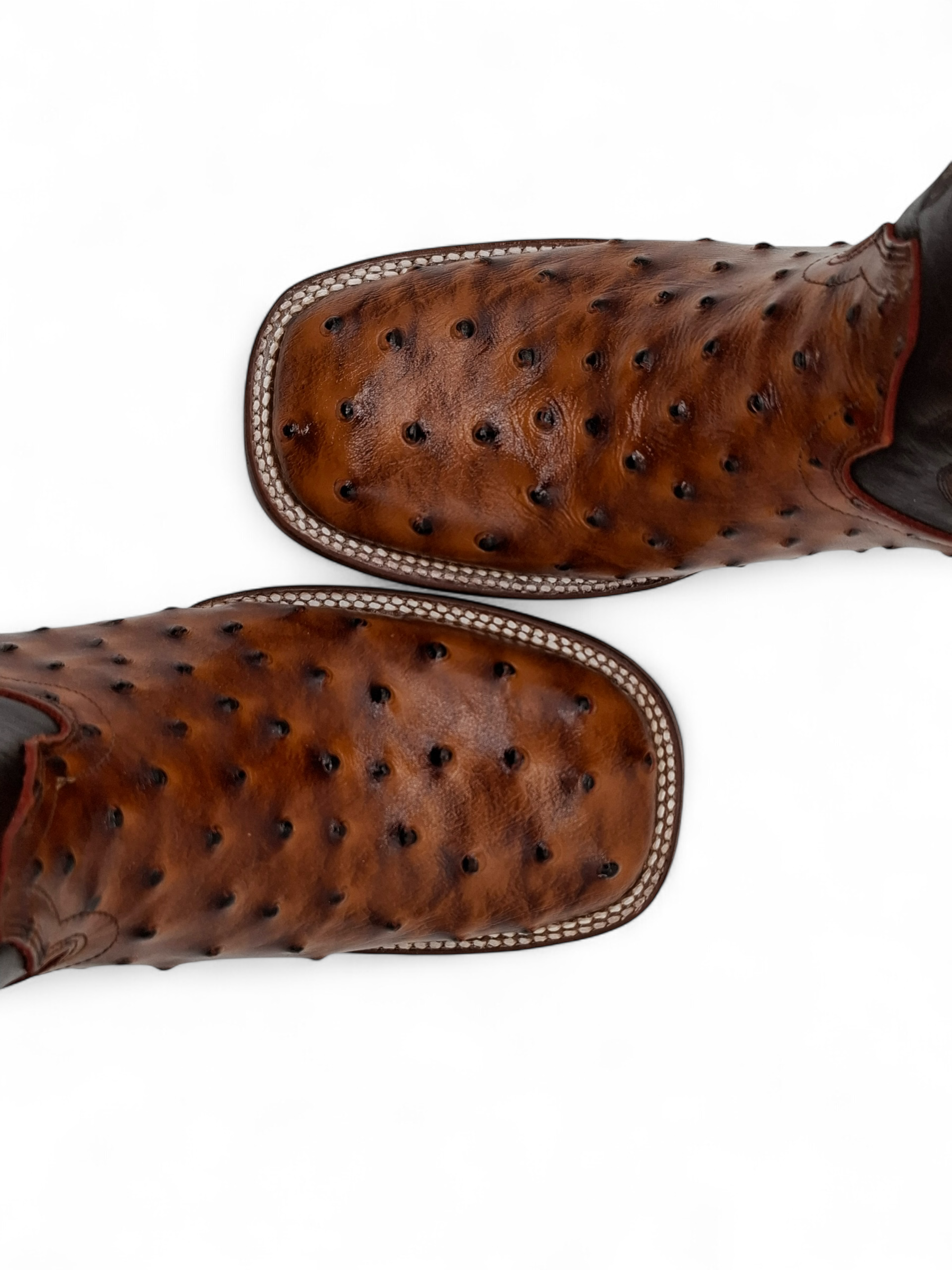 BOTA BIG BULL  UNISEX AVESTRUZ AFRICANA SOLIDO BRANDY TUBO ITALO CAFE 0017